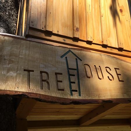 Tree House Alpinka Krvavec Villa แซเคลียนาโกเรนสเคม ภายนอก รูปภาพ