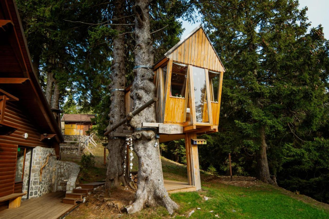 Tree House Alpinka Krvavec Villa แซเคลียนาโกเรนสเคม ภายนอก รูปภาพ
