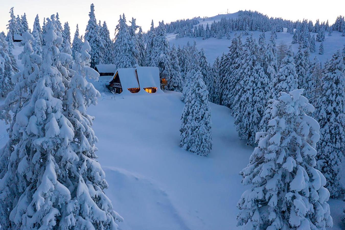 Tree House Alpinka Krvavec Villa แซเคลียนาโกเรนสเคม ภายนอก รูปภาพ